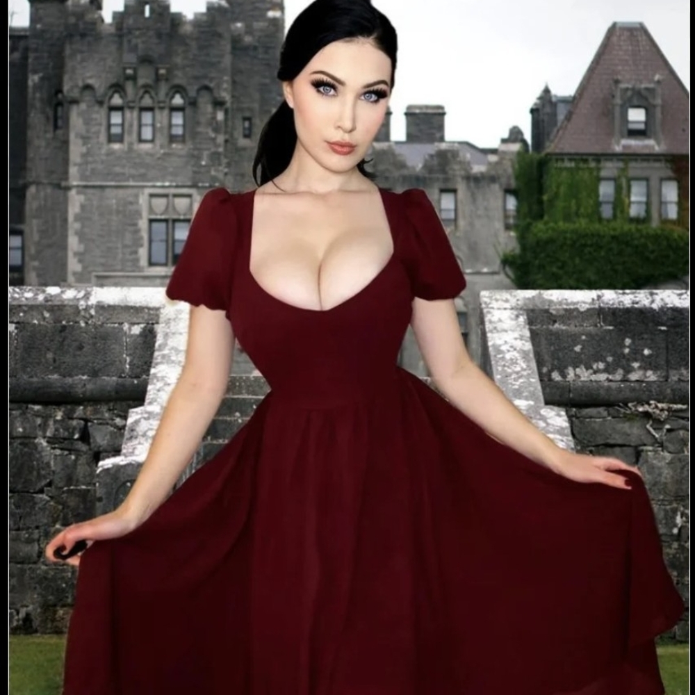 Elegant Burgundy Dress